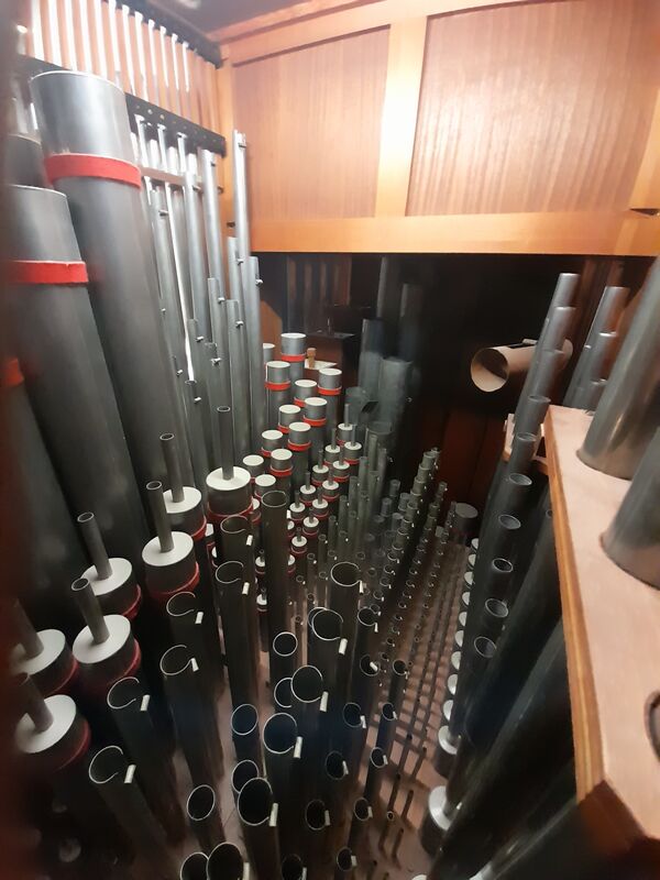 Pels & Van Leeuwen 23/II+P