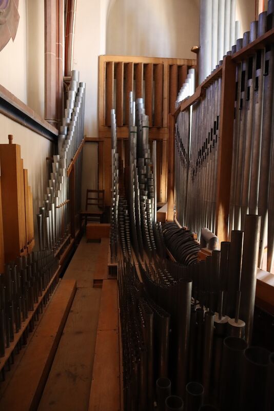 Dold 45/III+P