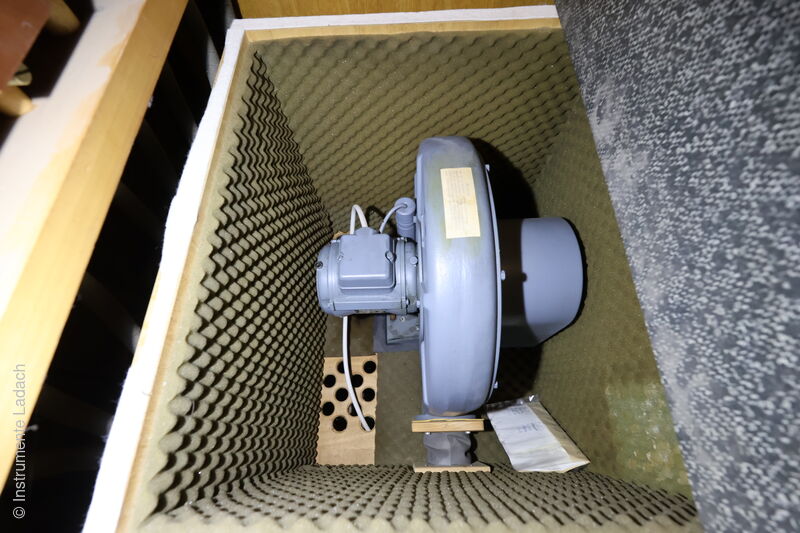 Raupach-Bosch 8/II+P