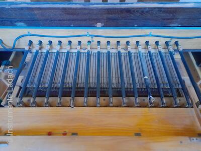 Hofberg Pedalharmonium 10/II+P