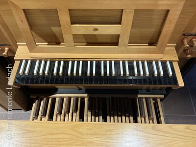 Hofbauer 3/I+P
