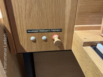 Hofbauer 3/I+P