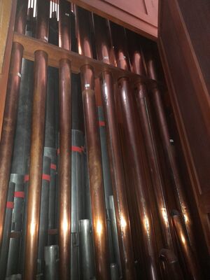 Pels & Van Leeuwen 23/II+P