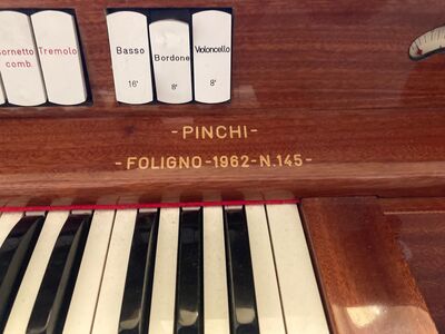 Pinchi 20/II+P