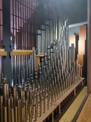 Steinmann 16/II+P