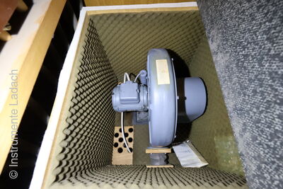 Raupach-Bosch 8/II+P