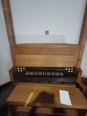 Steinmann 5/I+P