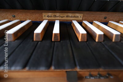 Oberlinger 19/II+P